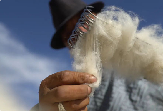 �ӱ�������Ŀ