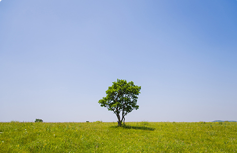 �����ƶ����������������淶�������������������Ͽ�������Ϣ��¶����