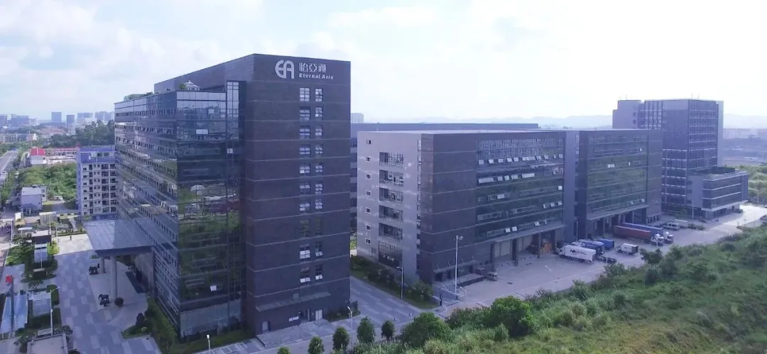 Stake(�й���)�ٷ���վ