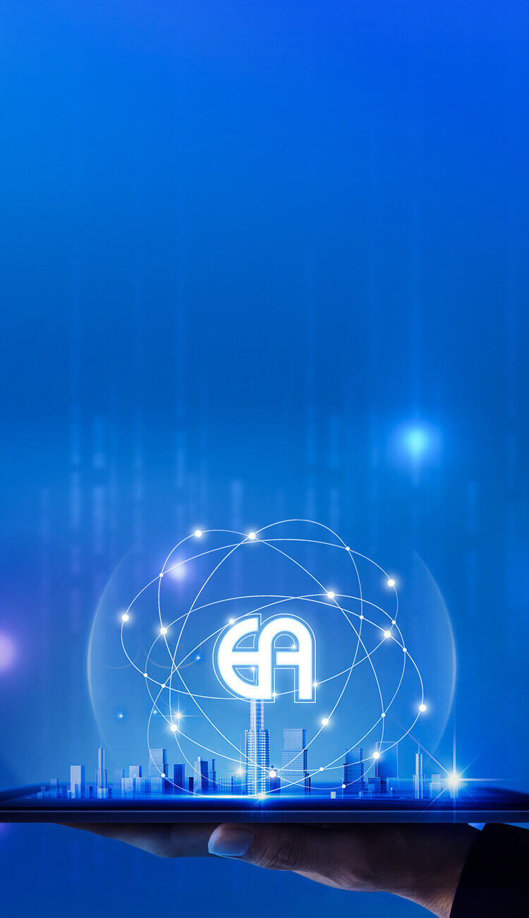 ����ɹ�����